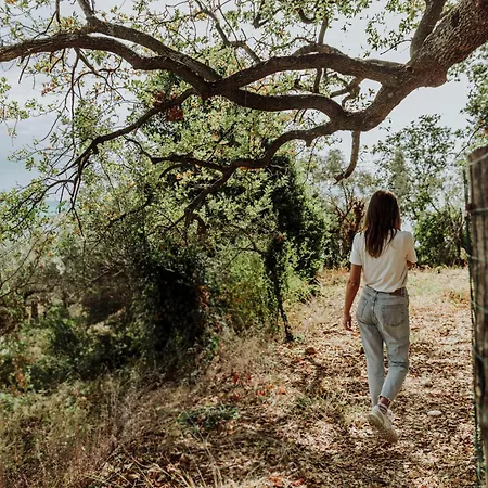 Guest house Marechiaro